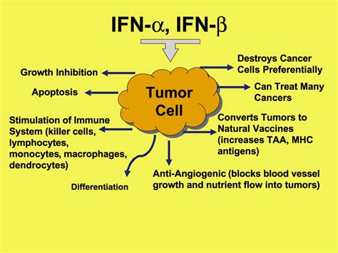 interferon alpha for cancer treatment